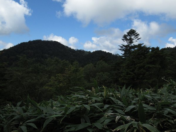 登山道